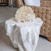 Home Sunni Spencer | Coastal Chic Side Table - Fossilized Clam Shell