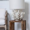 Home Sunni Spencer | Coconut Shell Table Lamp